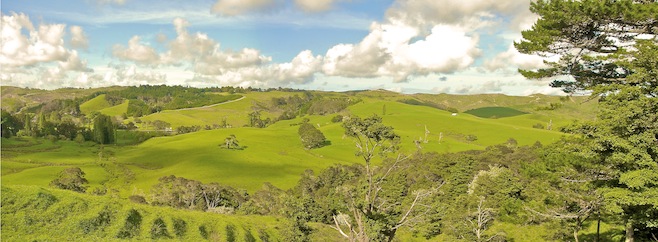 NZ Northland Roadtrip.JPG (225027 bytes)